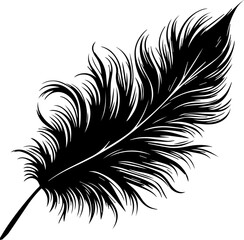 Black Fluffy Feather Silhouette Isolated On White Background Vector EPS