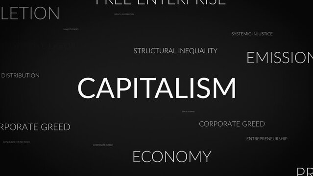 Unveiling Perspectives: A Dynamic Zoom into Capitalism Related Themes