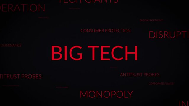 Unveiling Perspectives: A Dynamic Zoom into Big Tech Related Themes