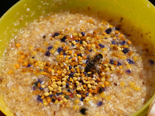 Biene sammelt Pollen mit Honig