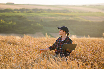Naklejka na ściany i meble Woman farmer working with laptop on wheat field. Smart farming and digital agriculture..