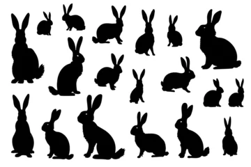 Foto op Aluminium Easter bunny silhouettes isolated on white background. Rabbit and Hare collection vector illustration of animals © Екатерина Переславце