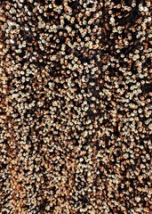 Rose gold sparkling cloth