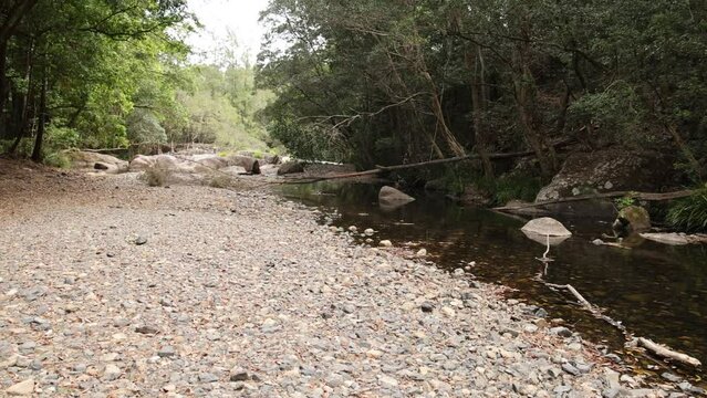 Enjoy the serene beauty of an Australian stream and rocky path.