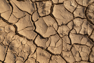 Dry ground as background. The concept of thirst, dehydration. - 681438817