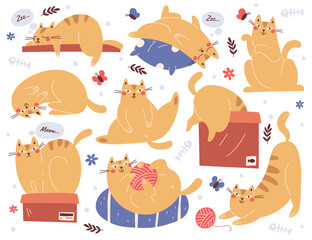 Cute cats and funny kitten colored doodle hand drawn characters in different poses and action