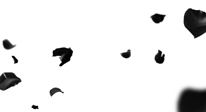 Falling Black Rose Leaves PNG . Rose Petals PNG. Black Rose PNG , set of black splashes