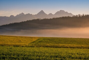 Autumn misty sunny morning with hot meadow, forest and mountains. Wonderful tourist morning