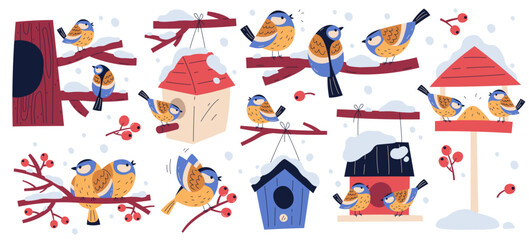 Tits birds sitting on tree branch, eating seeds in hanging feeders isolated set vector illustration © Mykola Syvak