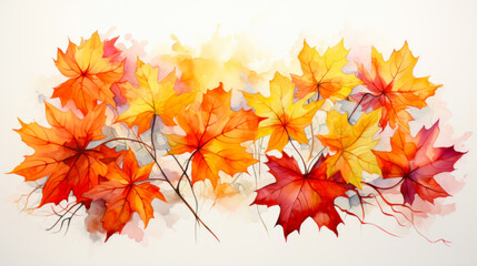Naklejka na ściany i meble A painting of autumn leaves on a white background