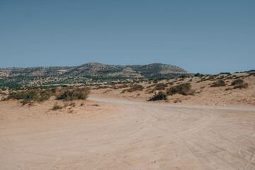 Fototapeta na wymiar Tamri Cliffs on the Atlantic Coast between Agadir and Essaouira