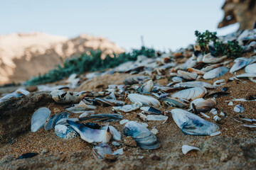 Tamri Cliffs on the Atlantic Coast between Agadir and Essaouira