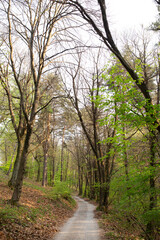 Beautiful and amazing forests with houses, routes and towns in the north mountains of Italy