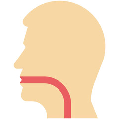 Esophagus