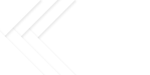 Line graphic Grey white abstract white background with artistic geometric shape background paper shine and layer element vector for presentation