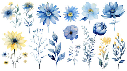 Set of watercolor flowers leaves on a white background, set of flowers for wedding, png