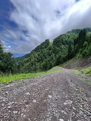 mountain walk on a sunny summer day