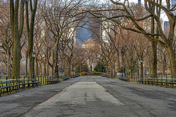 Central Park the Mall in winter