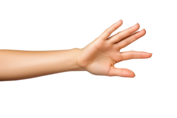 Woman hands isolated on transparent background