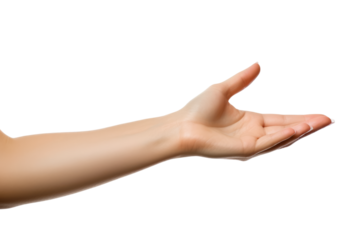 Woman hands isolated on transparent background