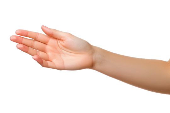 Woman hands isolated on transparent background