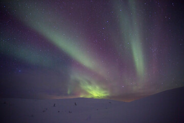 Northern lights in Pallas Yllastunturi National Park, Lapland, Finland