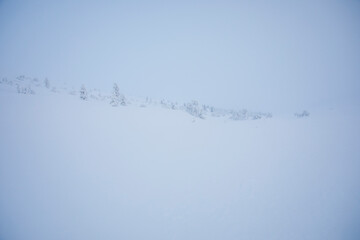 Winter landscape in Pallas Yllastunturi National Park, Lapland, Finland