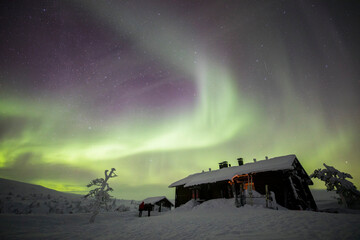 Northern lights in Pallas Yllastunturi National Park, Lapland, Finland
