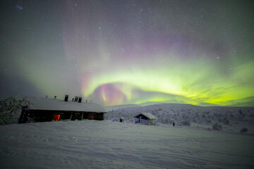 Northern lights in Pallas Yllastunturi National Park, Lapland, Finland