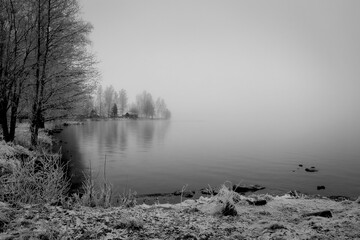 Greyscale shot of a lake lined with leafless trees. Ludvika county, Sweden