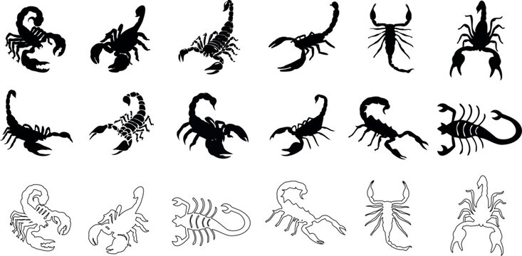 Scorpion vector illustration set - diverse, striking black and white scorpion icons, ideal for tattoos, logos