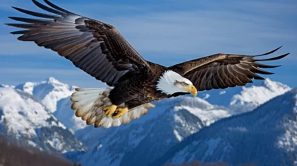 Zelfklevend Fotobehang bald eagle in flight © sania