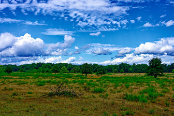 beautiful autumn day in Nuremberg