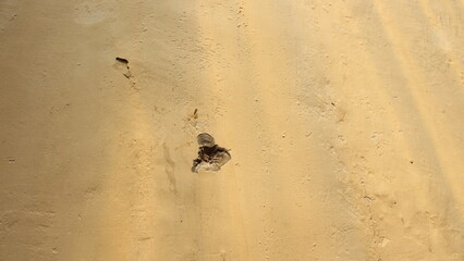 nail mark on aged wall