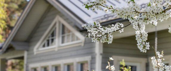 Beautiful wooden house with large windows, a showcase on the background of blossoming spring trees