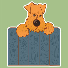 Sticker dog. Airedale Terrier. Funny sticker with a dog. Cartoon style. Set of stickers. Cartoon character for comics and postcards