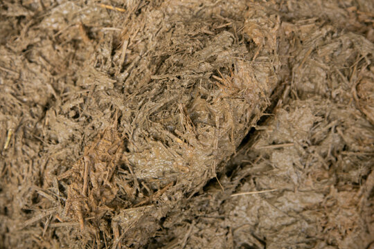 Mixture of straw and mud for the reconstruction of an old Japanese house.