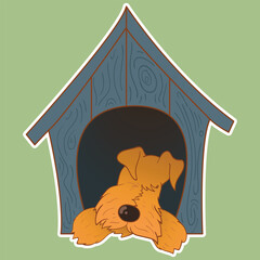 Sticker dog. Airedale Terrier. Funny sticker with a dog. Cartoon style. Set of stickers. Cartoon character for comics and postcards