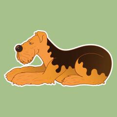 Sticker dog. Airedale Terrier. Funny sticker with a dog. Cartoon style. Set of stickers. Cartoon character for comics and postcards