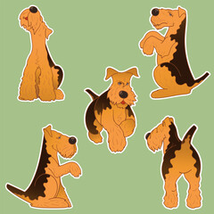 Set of stickers with a dog. Airedale Terrier. Cheerful puppy. Stickers in cartoon style. Puppy character. Sticker pack