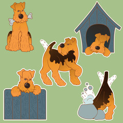 Set of stickers with a dog. Airedale Terrier. Cheerful puppy. Stickers in cartoon style. Puppy character. Sticker pack