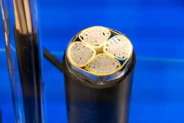Sample of multi-core cable with protected wires.
