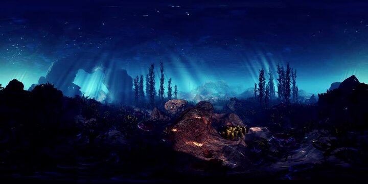 Underwater Wonderland: A Mesmerizing VR360 Scene of Rocks, Plants, and Submerged Beauty