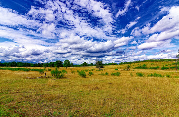 Fototapeta premium beautiful autumn day in Nuremberg