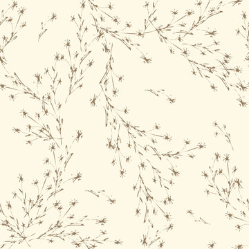 Delicate Flowers