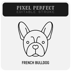 French bulldog head thin line icon. Dog breed. Editable stroke. Vector illustration.