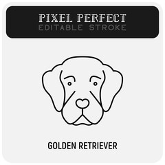 Golden retriever head thin line icon. Dog breed. Editable stroke. Vector illustration.
