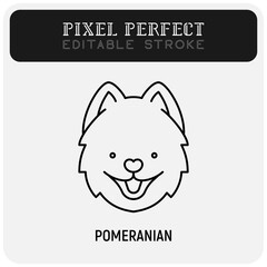 Pomeranian head thin line icon. Dog breed. Editable stroke. Vector illustration.