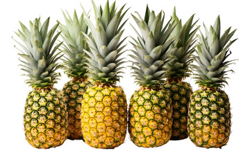 Group of Ripe Pineapples on transparent background