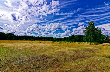 Fototapeta premium beautiful autumn day in Nuremberg